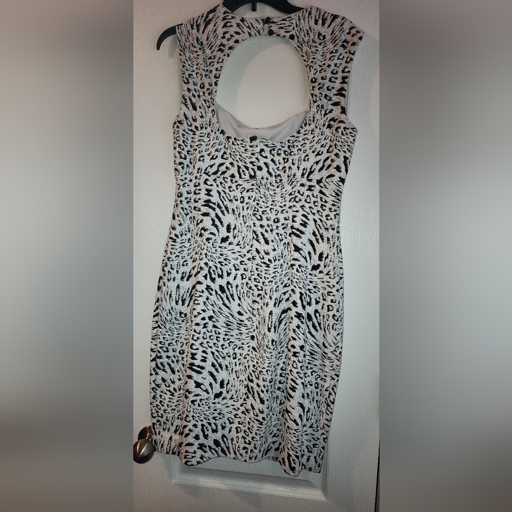 Cache Dress - Picture 2 of 8